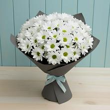 Букет цветов из:  Хризантемы в Оричах
